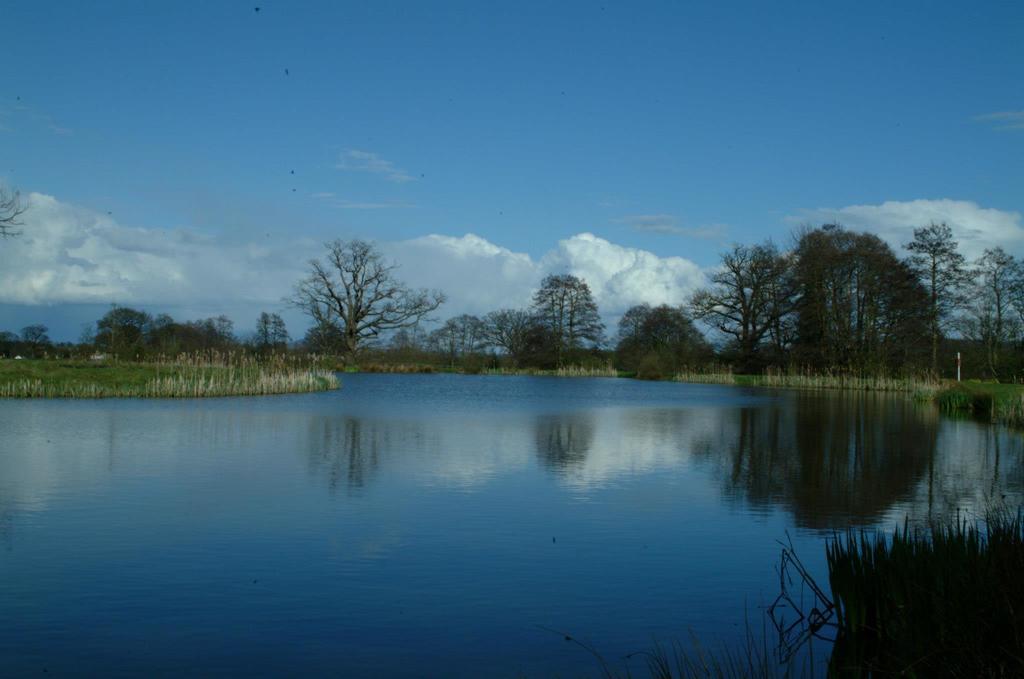 Netley Hall Dorrington Exterior foto